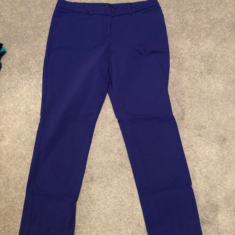 Size 8 bright colbalt blue crop pant Worthington